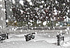 Blizzard 2011